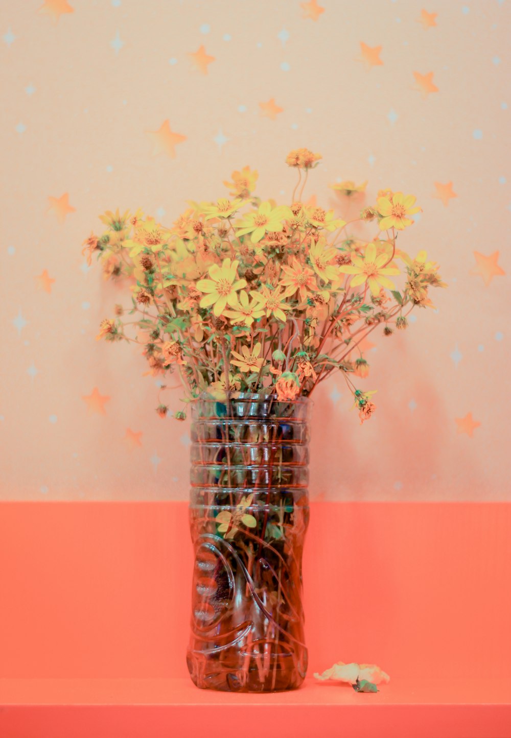 yellow daisies in clear plastic vase