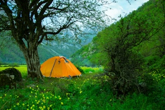 A vibrant orange tent pitched in a lush green campsite under a clear blue sky.