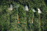 several shovels on grass