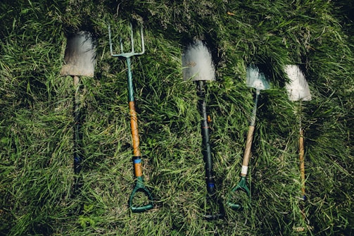 A lush green garden with various gardening tools neatly arranged on the grass.