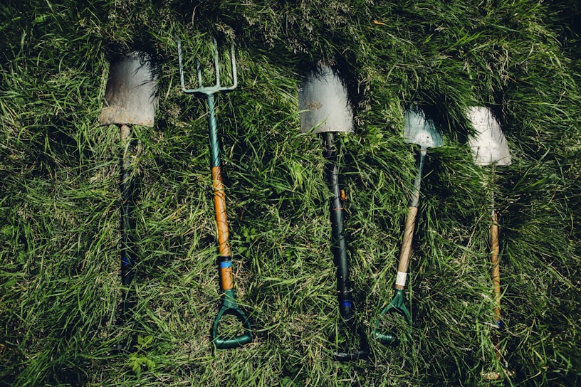 Several gardening tools, including spades and a pitchfork, are laid out on thick, green grass. The tools show signs of use, with some dirt visible on the blades.