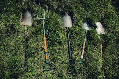 Several gardening tools, including spades and a pitchfork, are laid out on thick, green grass. The tools show signs of use, with some dirt visible on the blades.