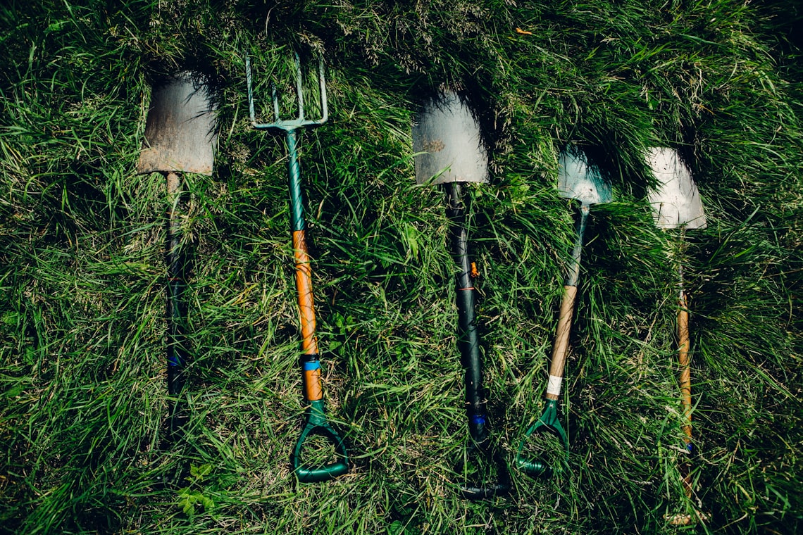 The Joy of Tree Planting Volunteering