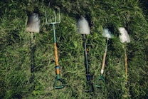 Several gardening tools, including spades and a pitchfork, are laid out on thick, green grass. The tools show signs of use, with some dirt visible on the blades.