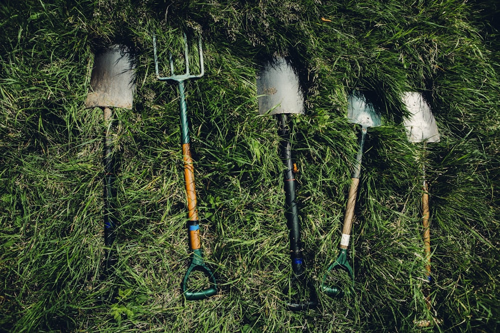 plusieurs pelles sur l’herbe