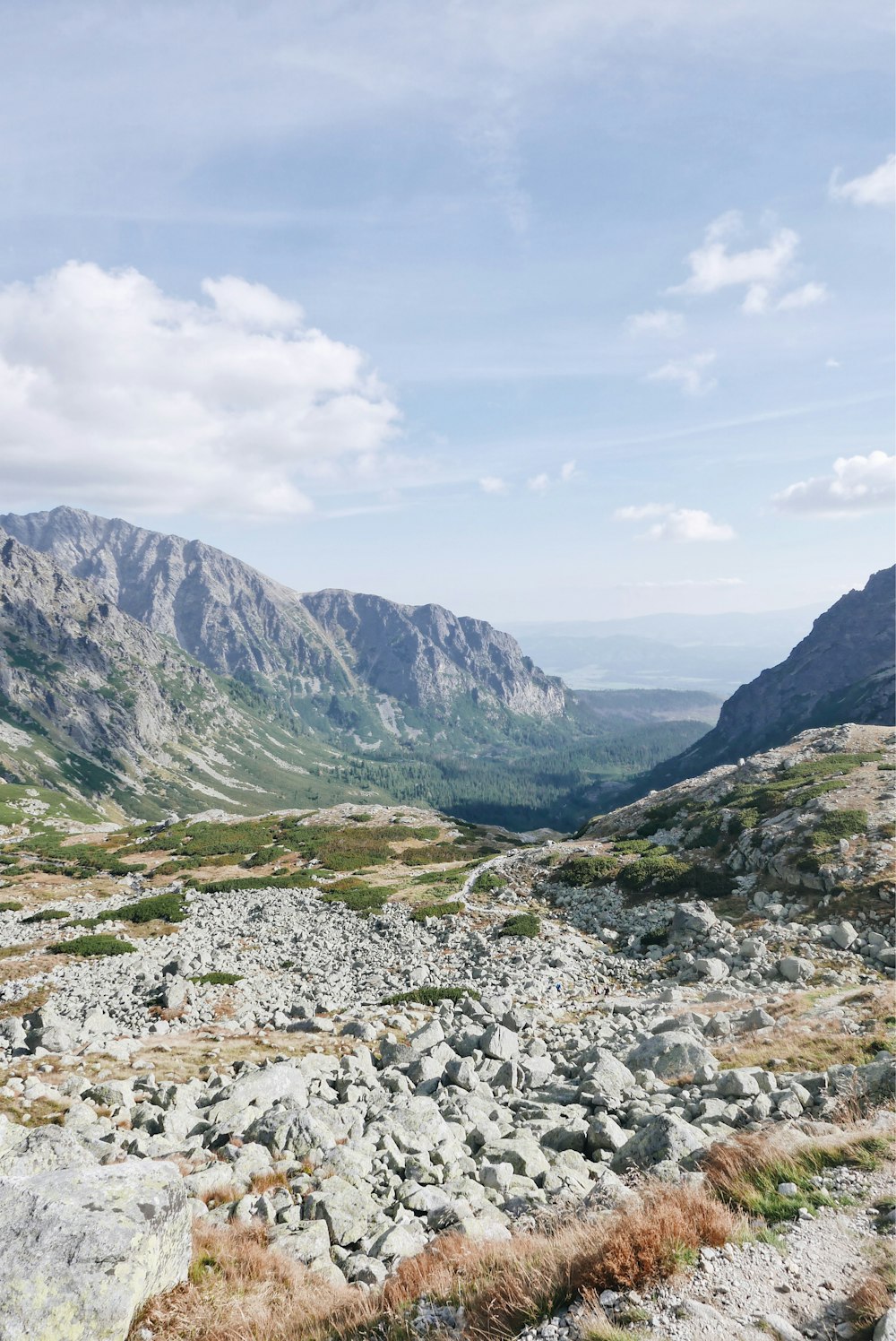 gray mountain with trees