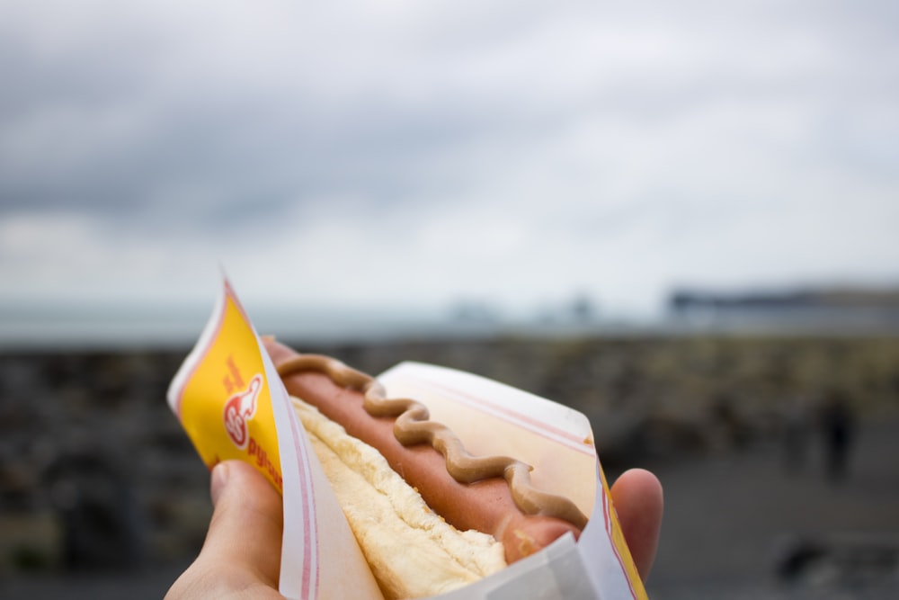 sausage sandwich with mustard