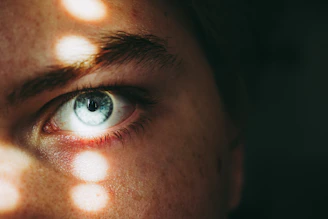 closeup photo of person left eye