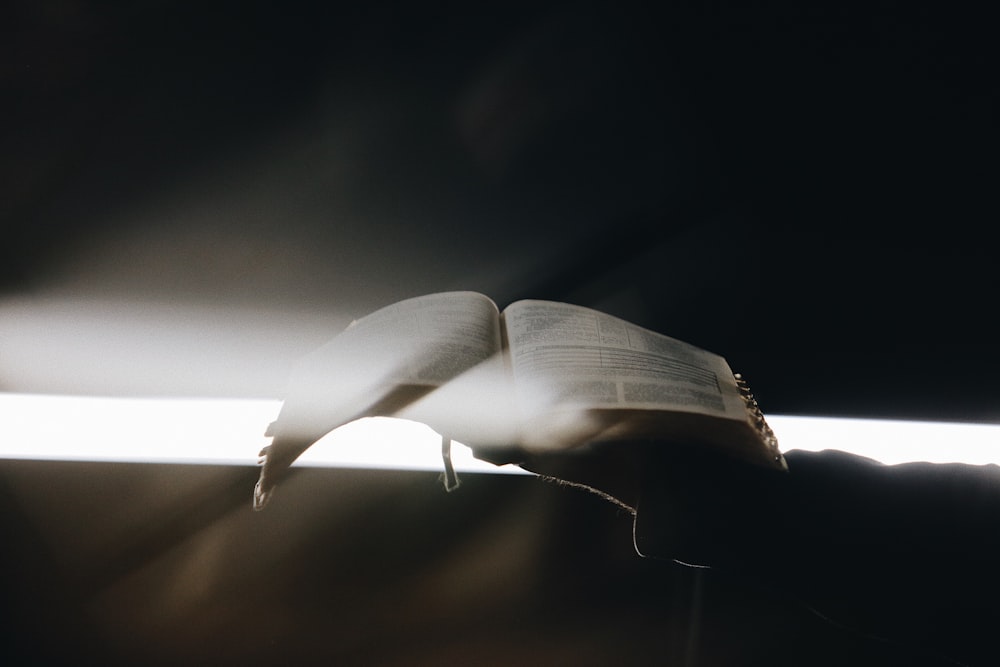 person holding opened book