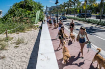 Smiling community members walking dogs at a local animal welfare event.