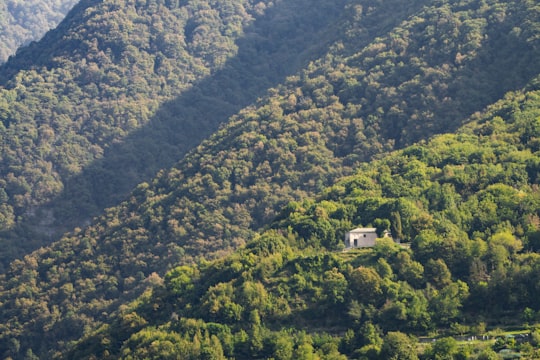 aerial photography of trees in Lake Como Italy