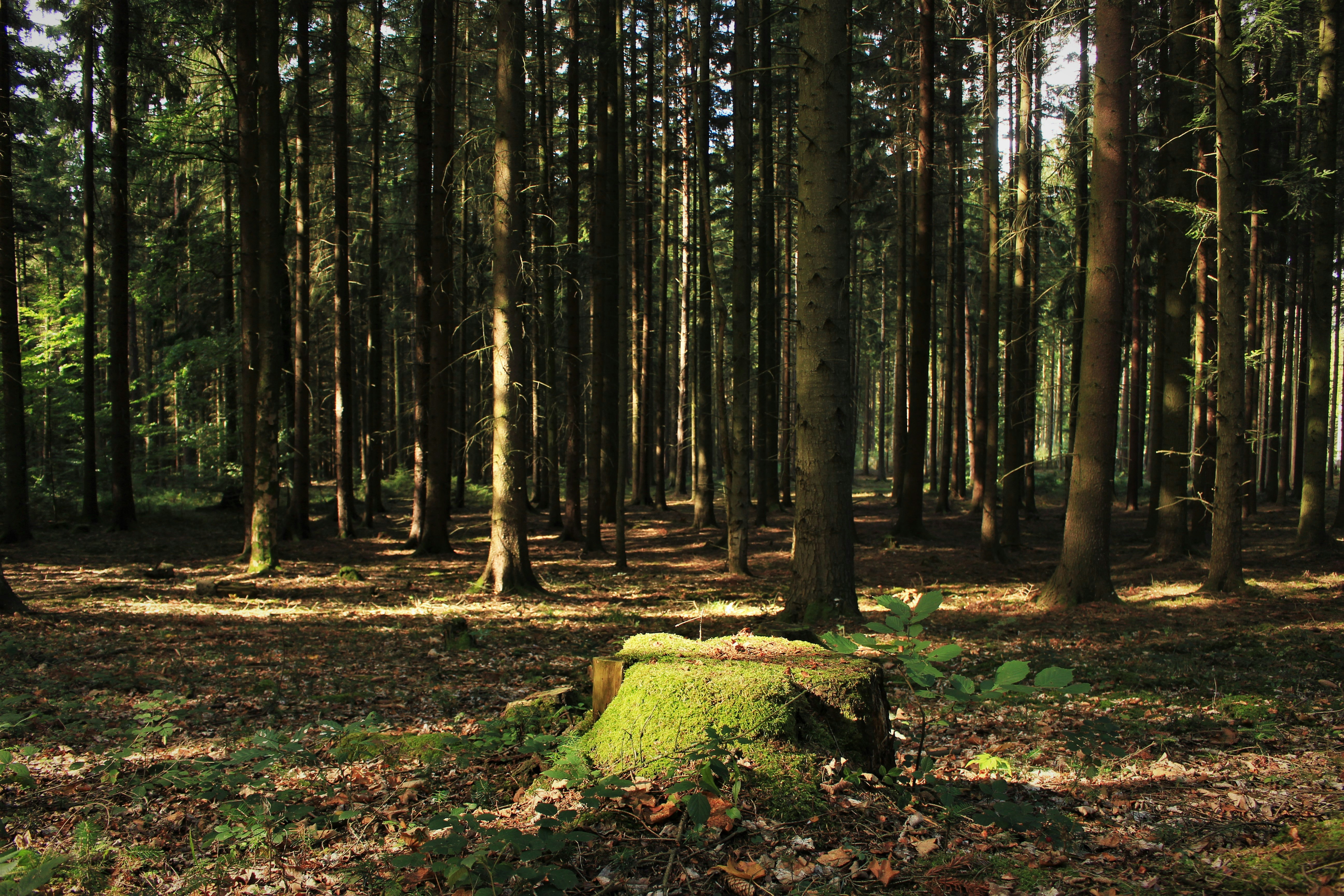 Photo by marjorylucabaxter