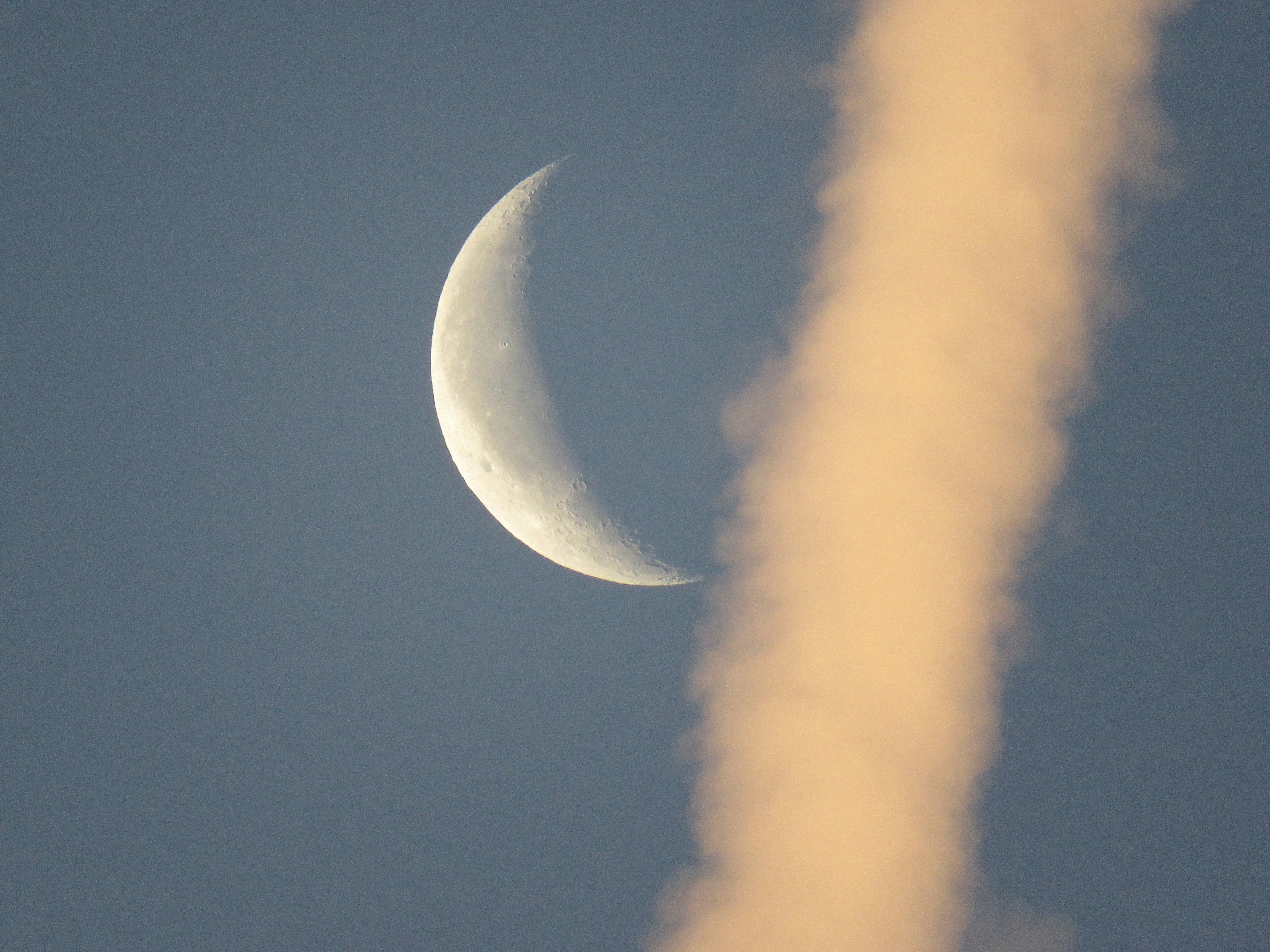 The Cultural Impact of Elephant-Moon Myths (image credits: unsplash)