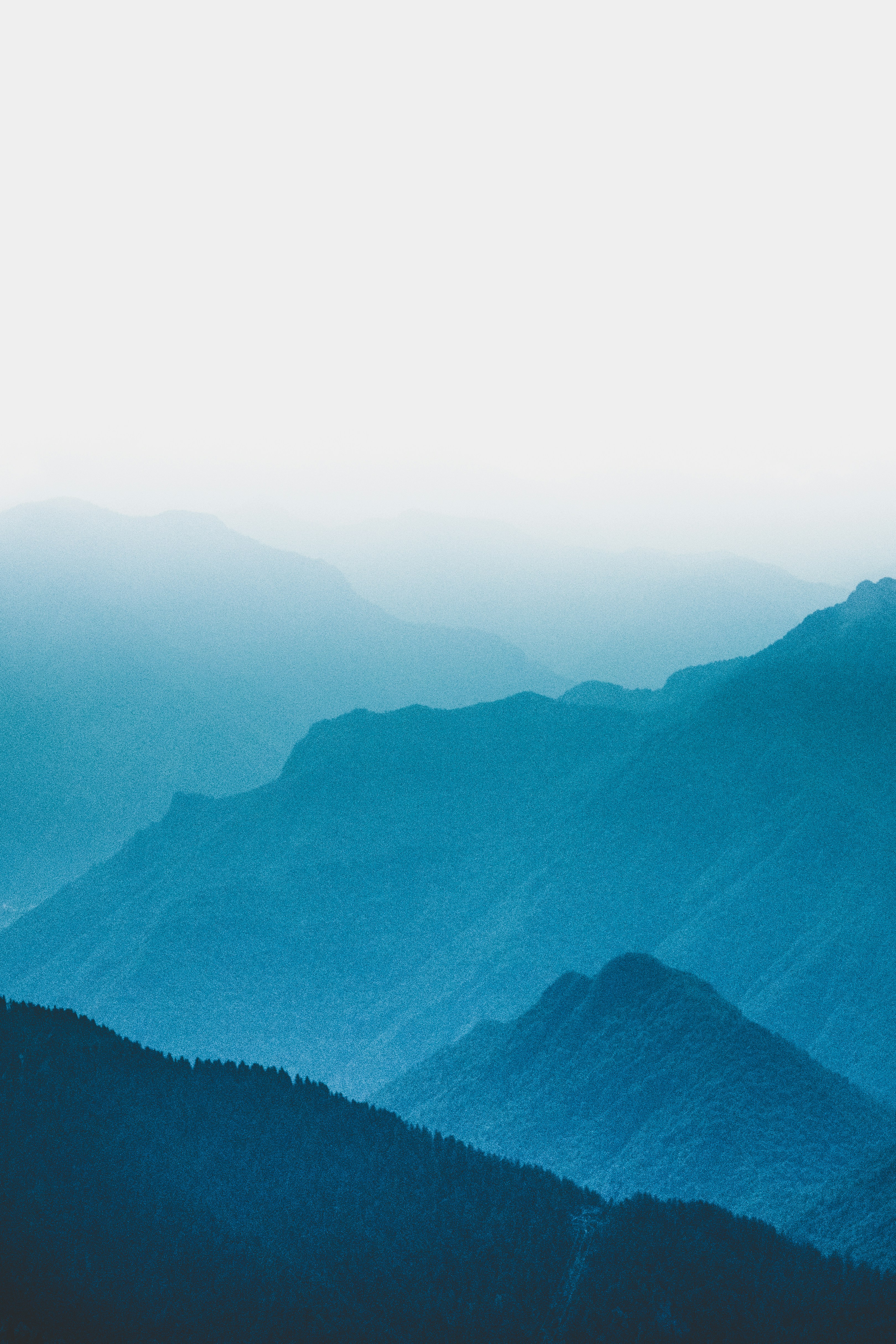 Photo by conti_photos