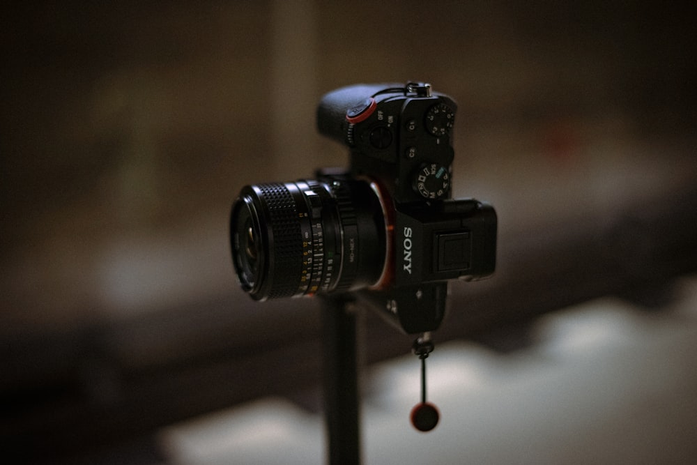 selective focus photography of Sony DSLR camera