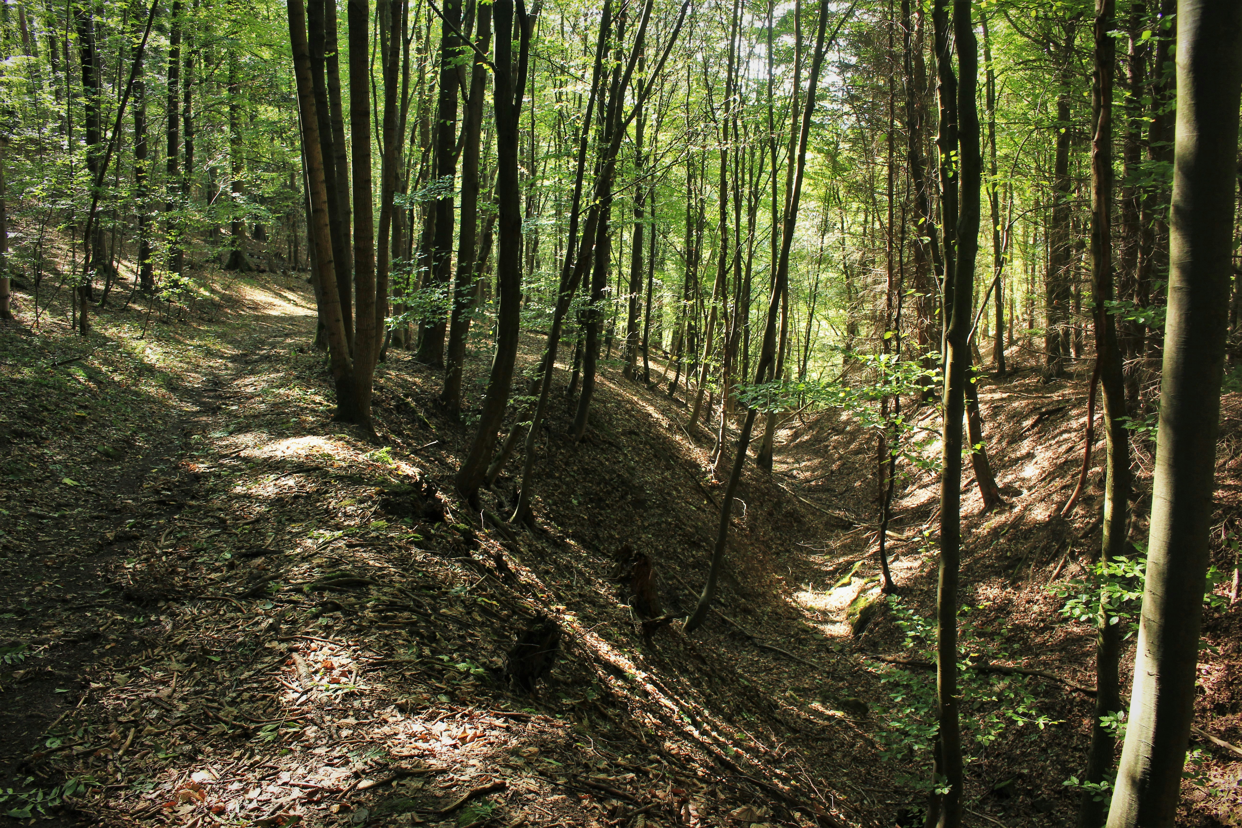 Photo by marjorylucabaxter