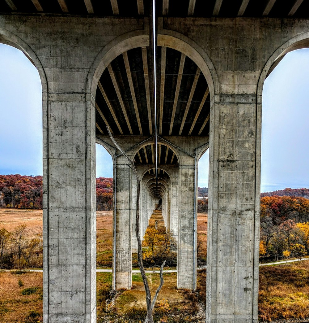 gray concrete pillars