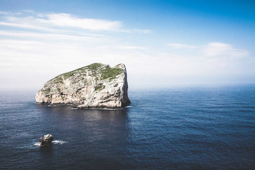 gray and green rock formation in middle of body of water during daytime