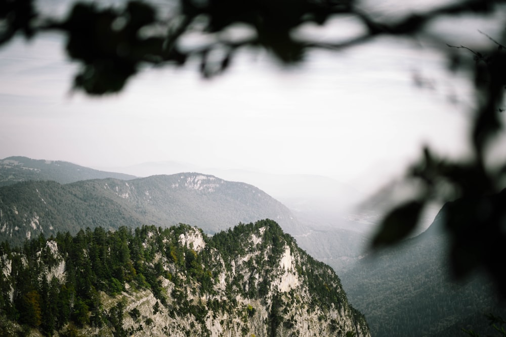 Fotografía de gran angular de terreno montañoso brumoso