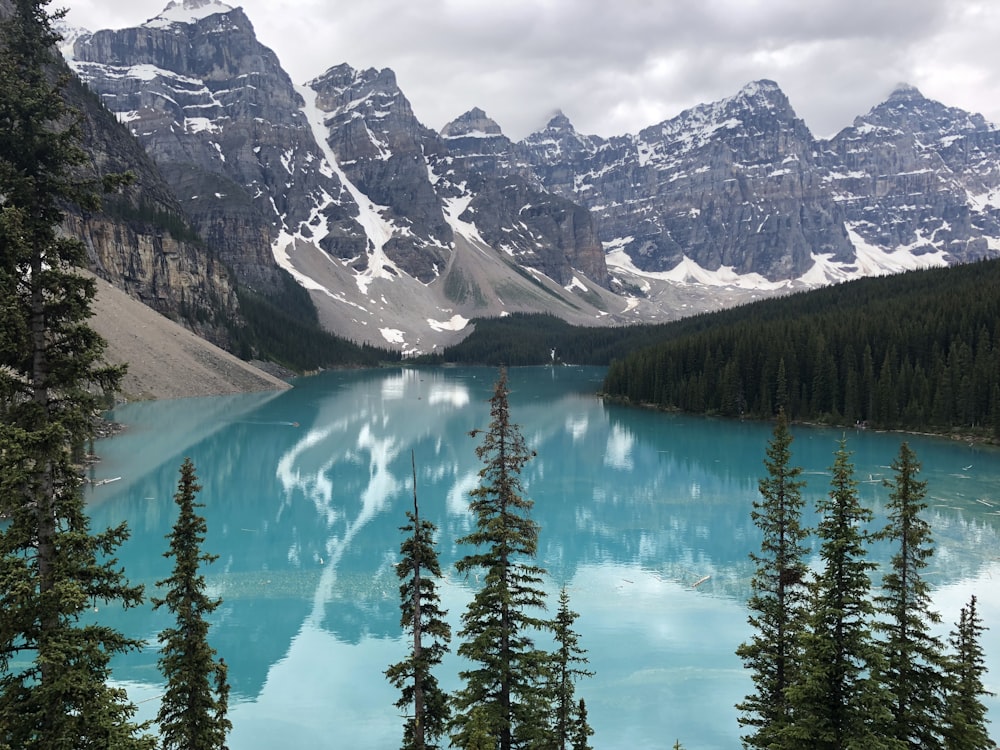 body of water covered in green pine trees