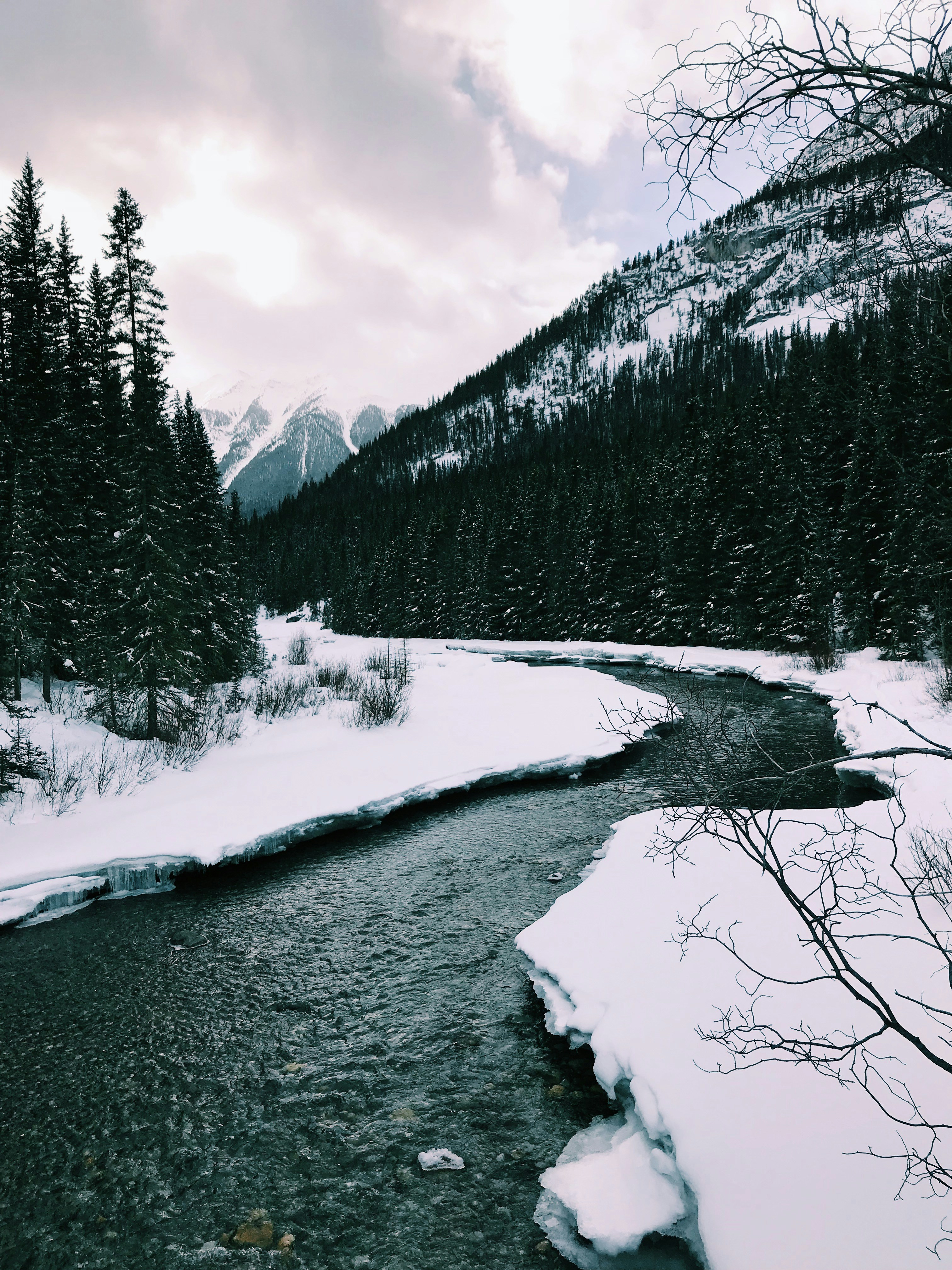river between trees covered with snow