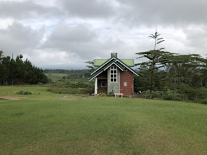 A cozy cottage surrounded by lush green forests and rolling hills under a misty sky.