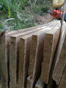 Photo of a happy customer holding wooden planks outside Sul Madeiras store.