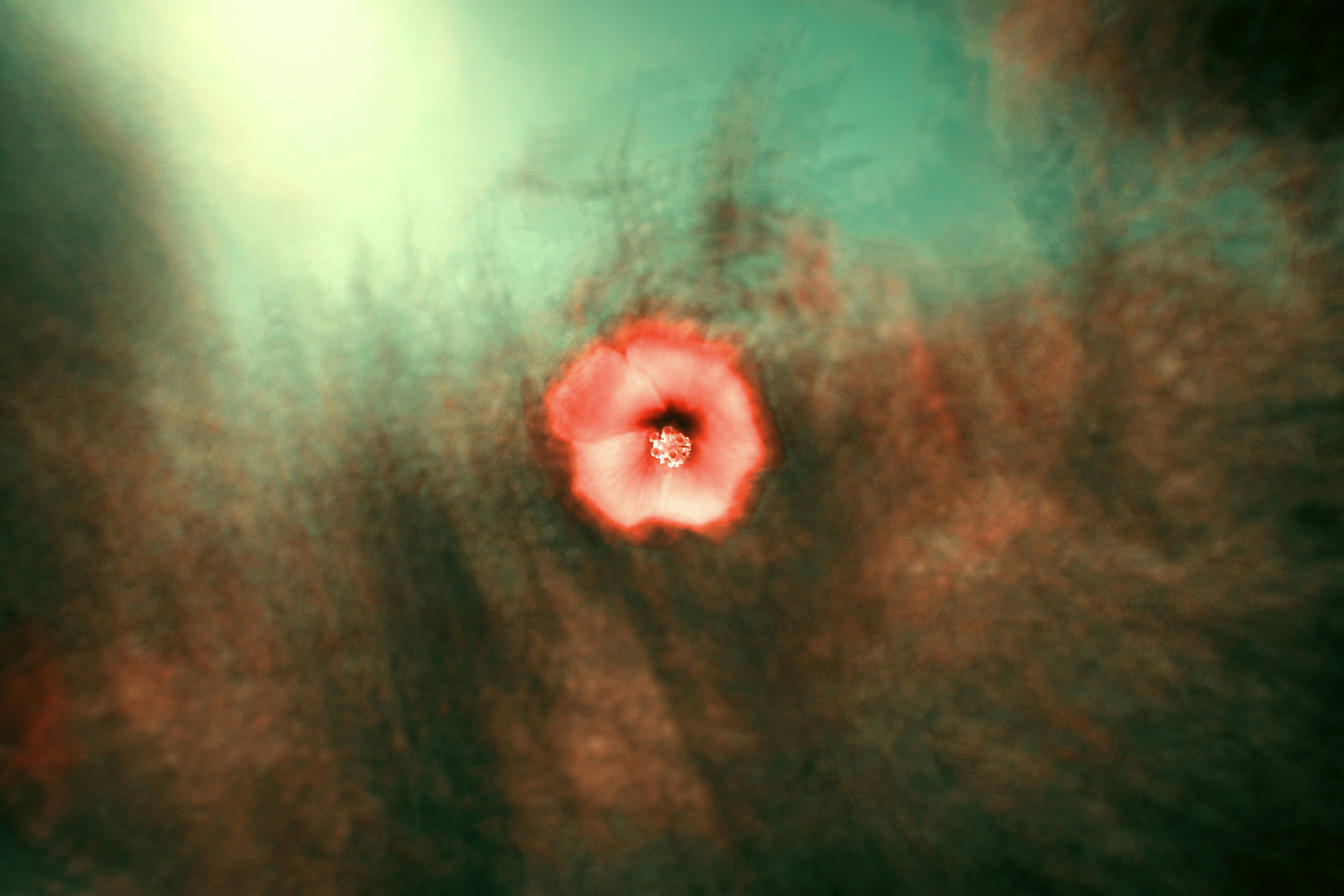 The Clinical Coach: Vasovagal syncope, Occipital Neuralgia & Concussion Walk Into Your Clinic (UPDATE)