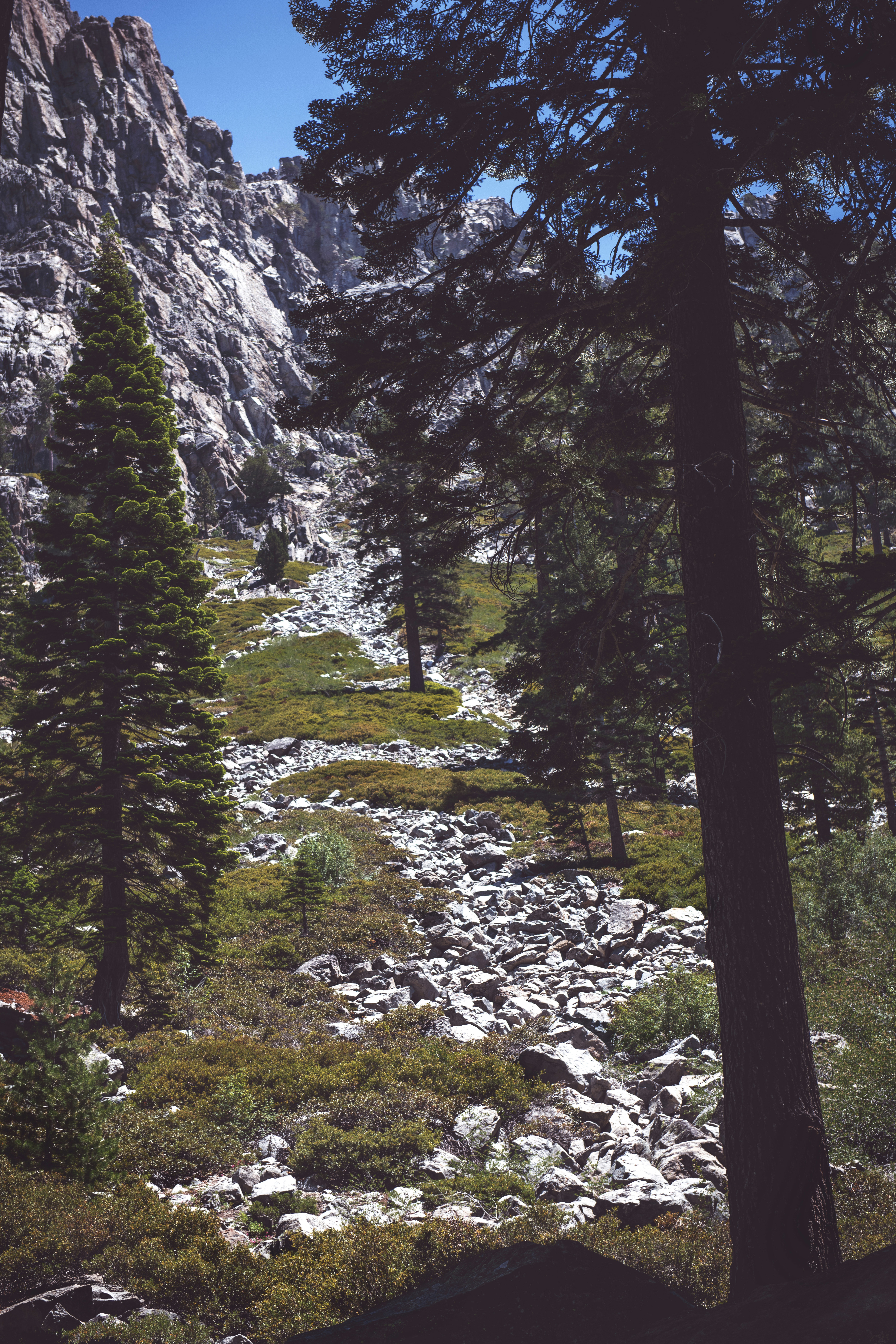 Photo by timmossholder