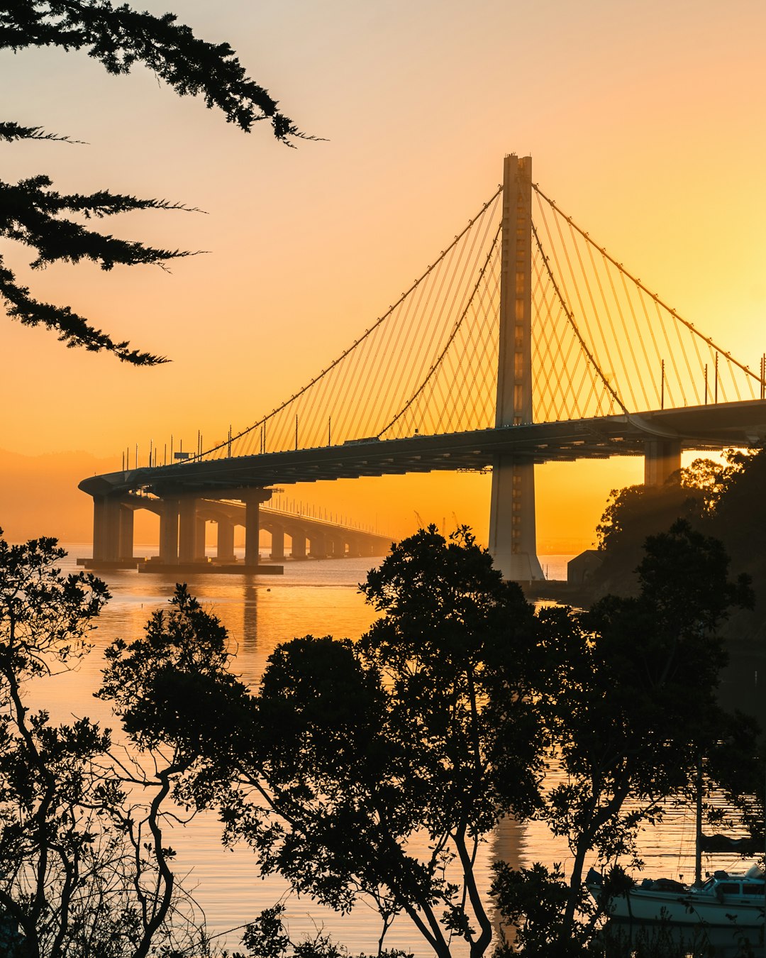 travelers stories about Suspension bridge in San Francisco – Oakland Bay Bridge, United States