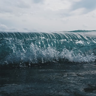 A dynamic view of a wave cresting in the ocean, capturing the intricate details of the water's movement and the play of light on the wave's surface.