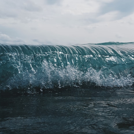 A dynamic view of a wave cresting in the ocean, capturing the intricate details of the water's movement and the play of light on the wave's surface.