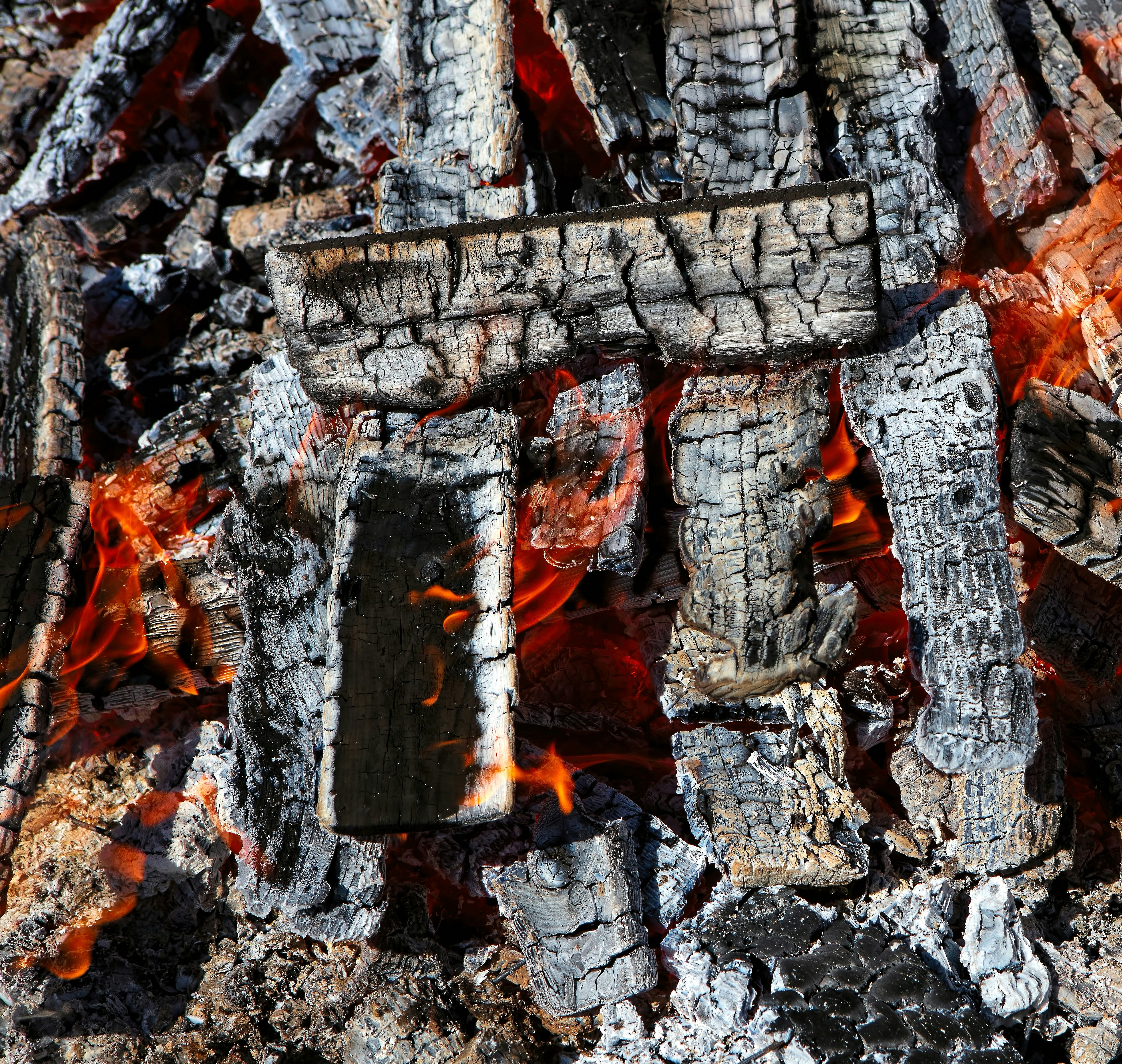 photo 1537948134260 bc3989a749ea?ixlib=rb 4.0