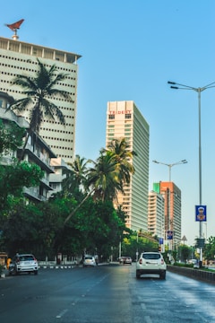 A vibrant street view of a modern Doral neighborhood with palm trees and bright blue skies