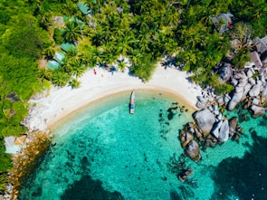 white boat dock on seashore near green trees during daytime