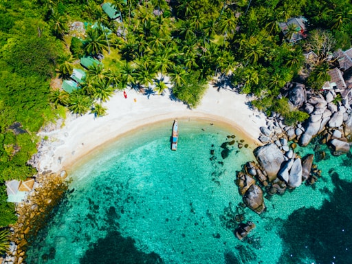 white boat dock on seashore near green trees during daytime