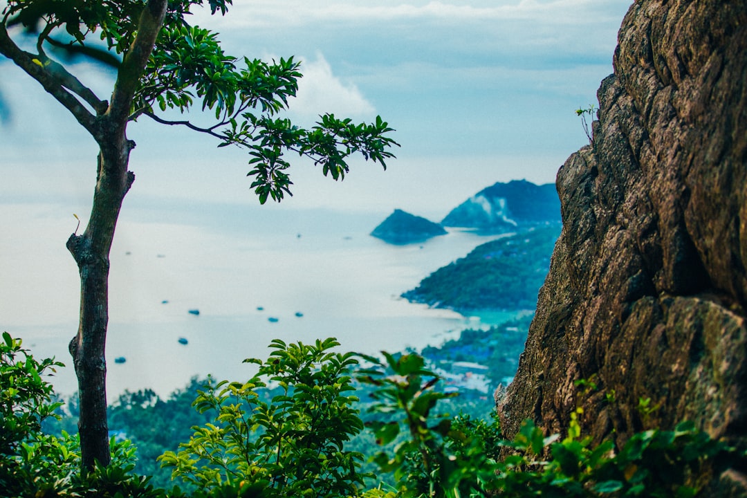 Nature reserve photo spot Secret Spot Thailand