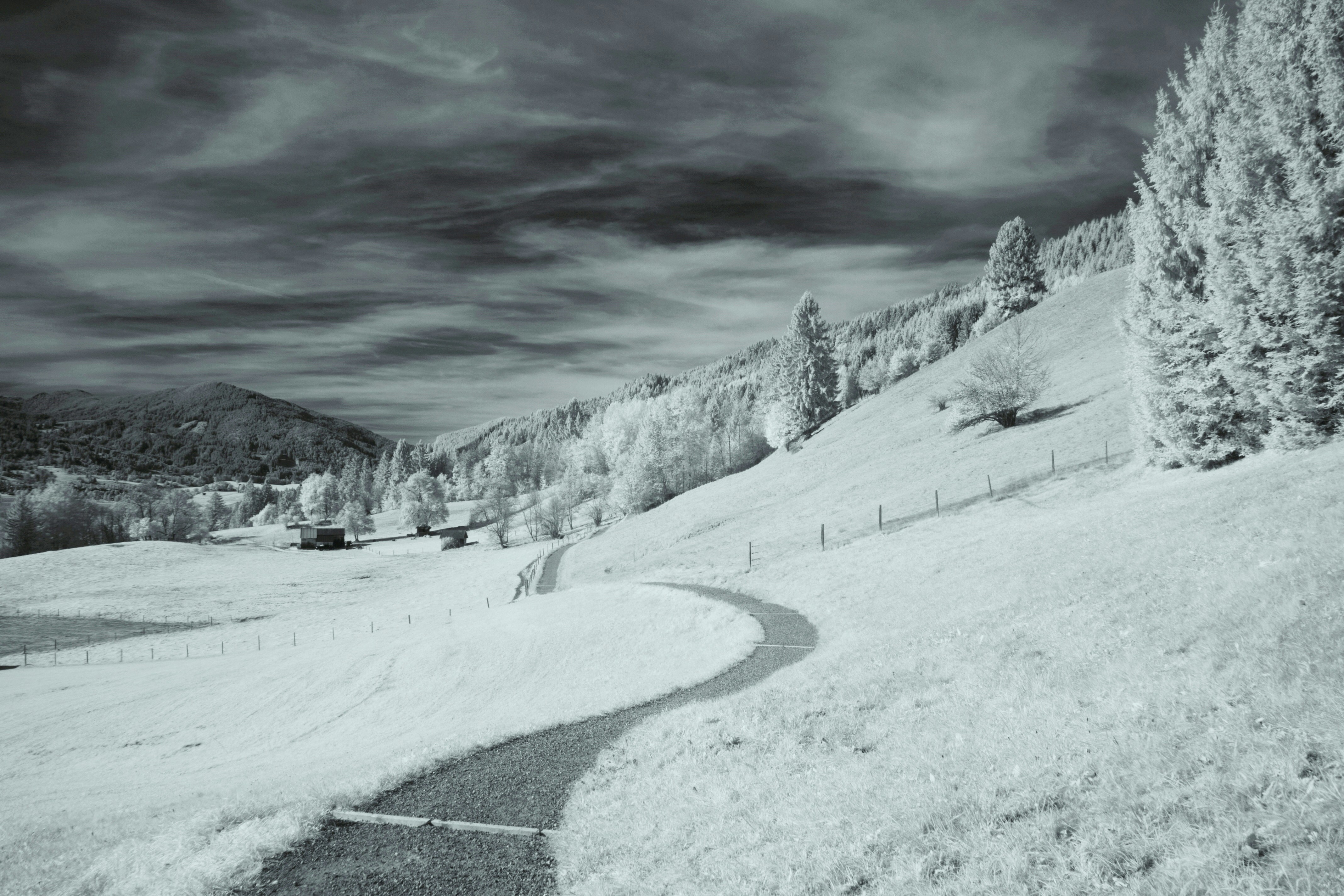 Photo by leukekiekjes