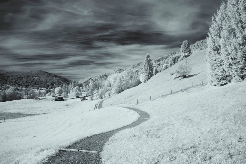 gray scaled photo of field