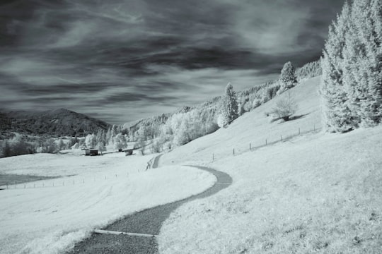 gray scaled photo of field in Oberammergau Germany