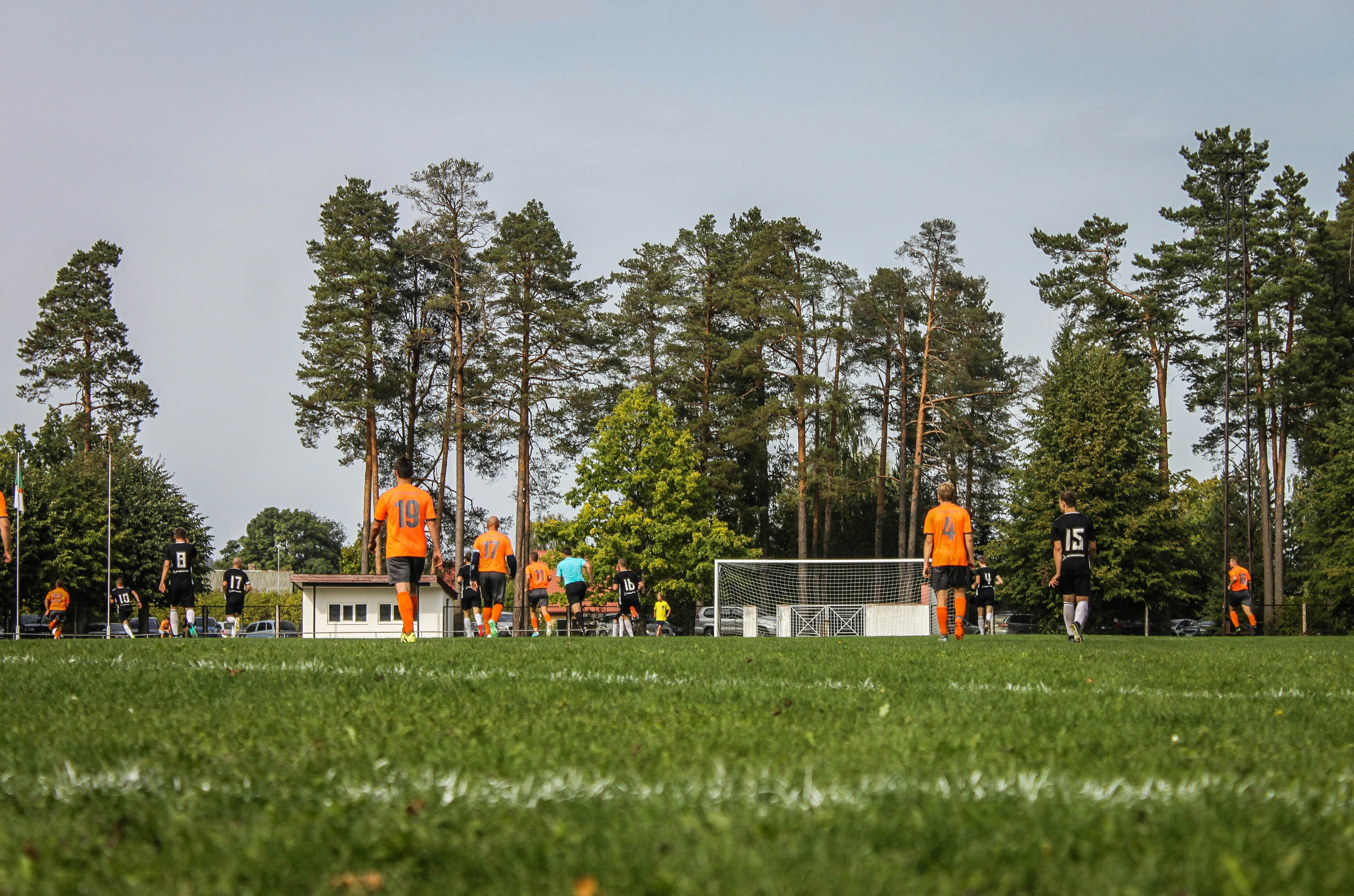 soccer field green, wallpaper, Hasil Liga 1: Update Klasemen, Berita, dan Statistik 4