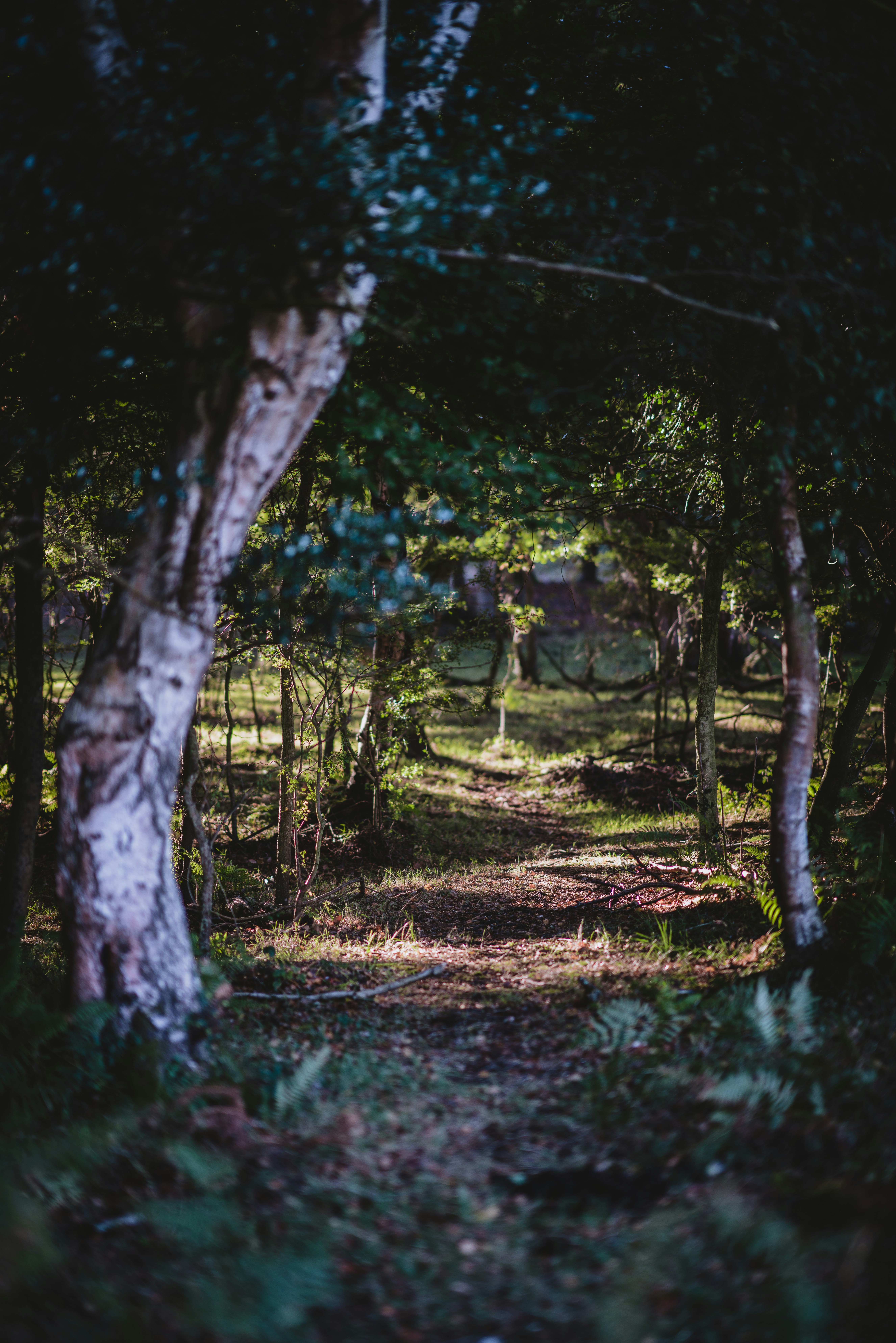 Photo by anniespratt