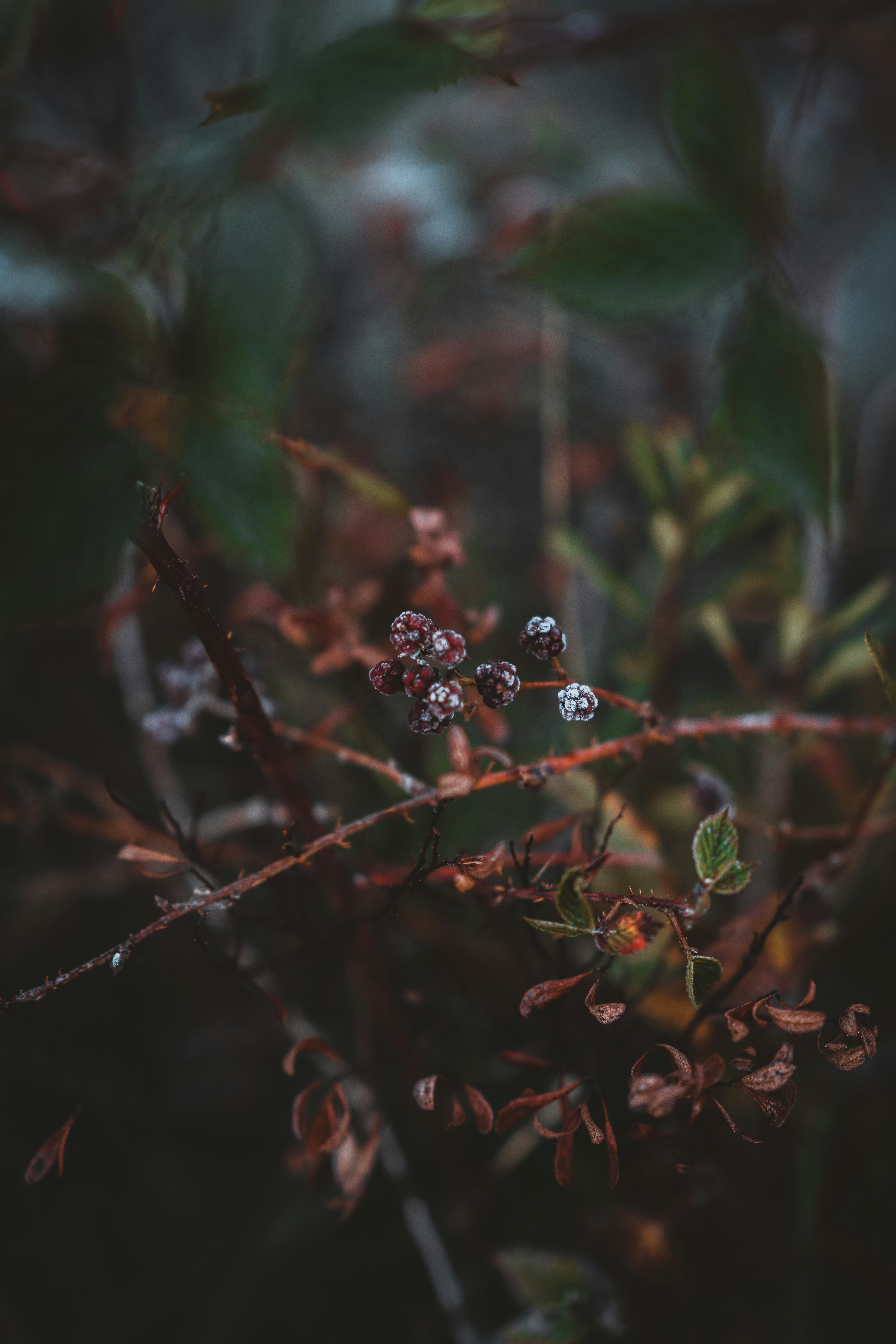 Photo by anniespratt