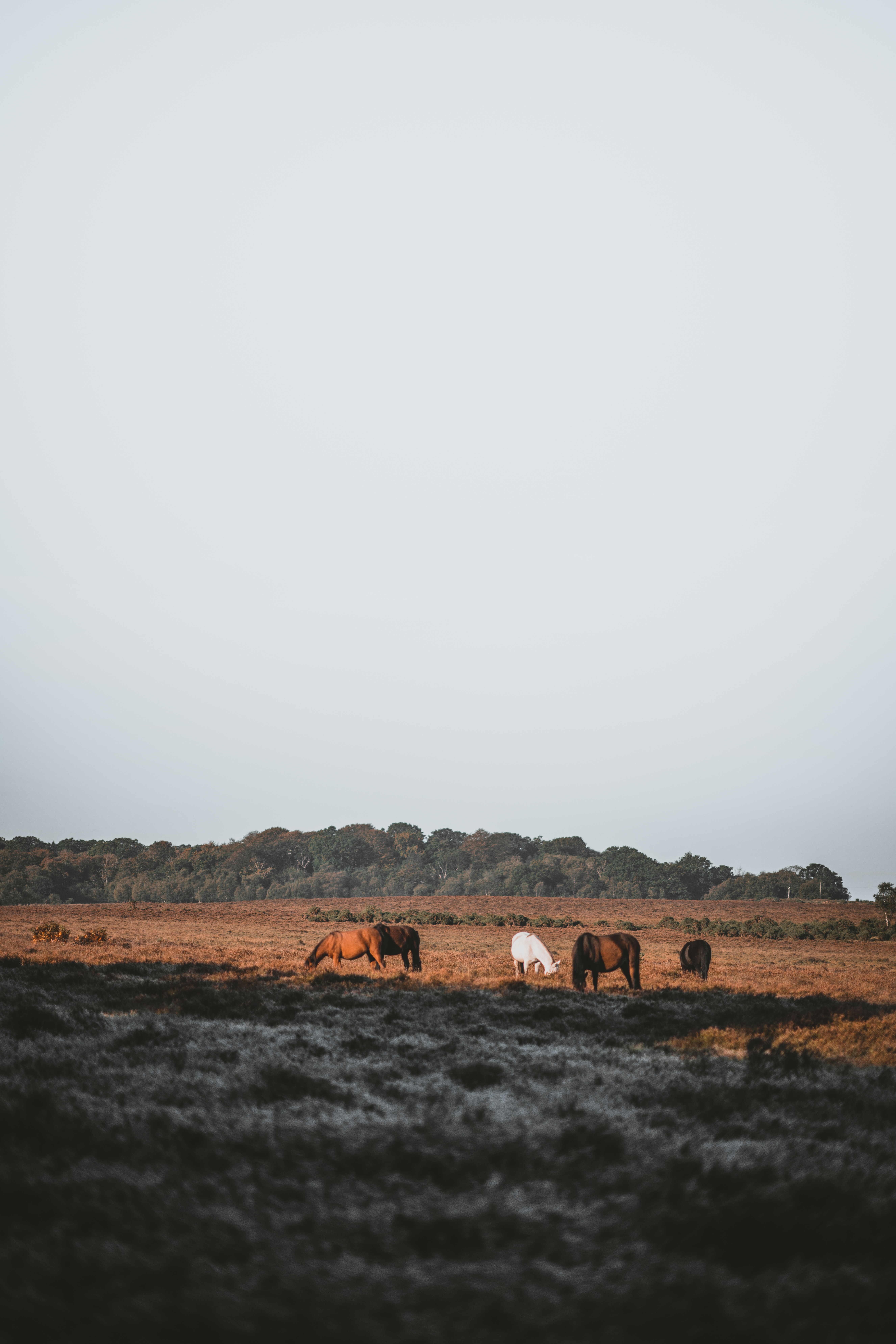 Photo by anniespratt