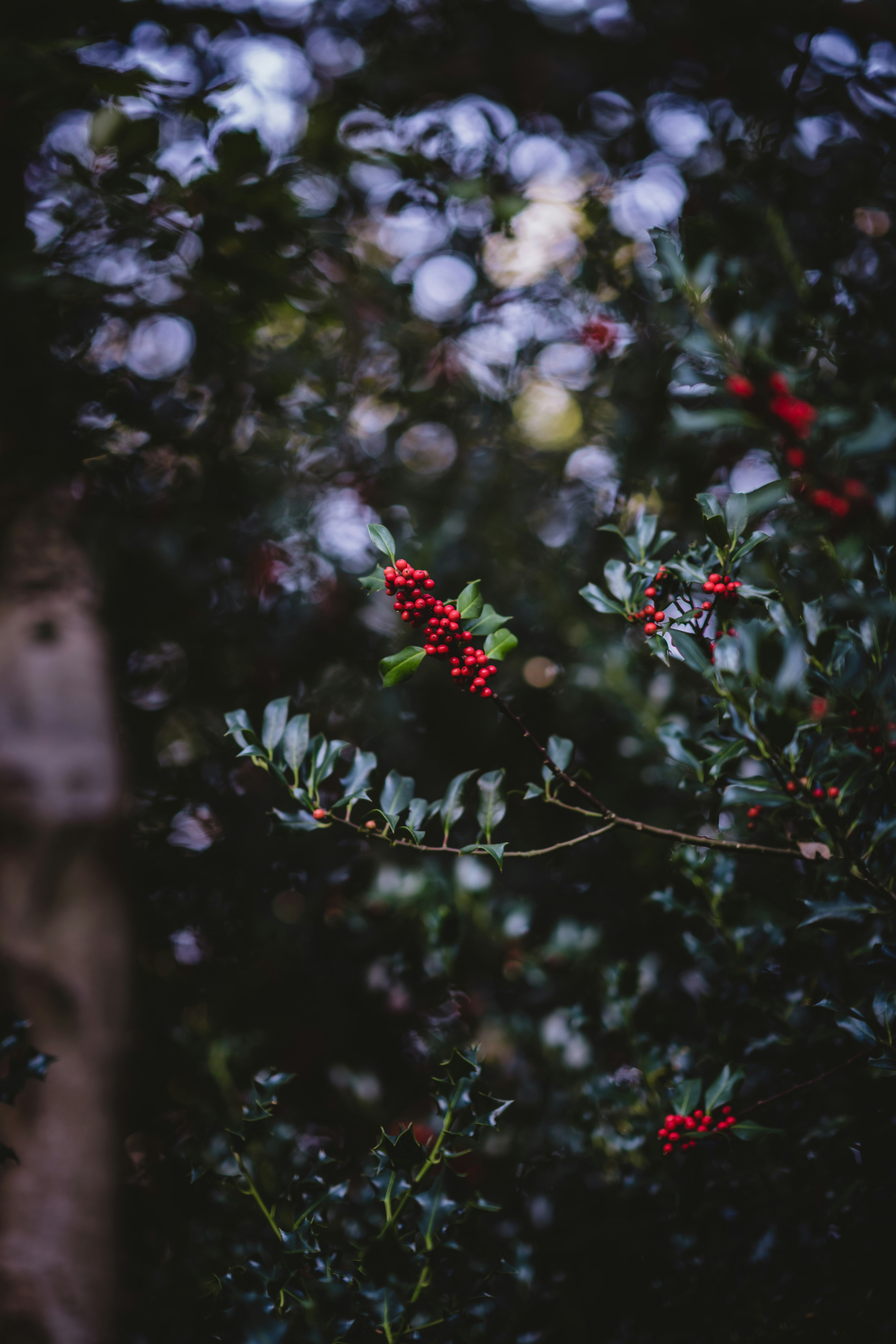 Photo by anniespratt