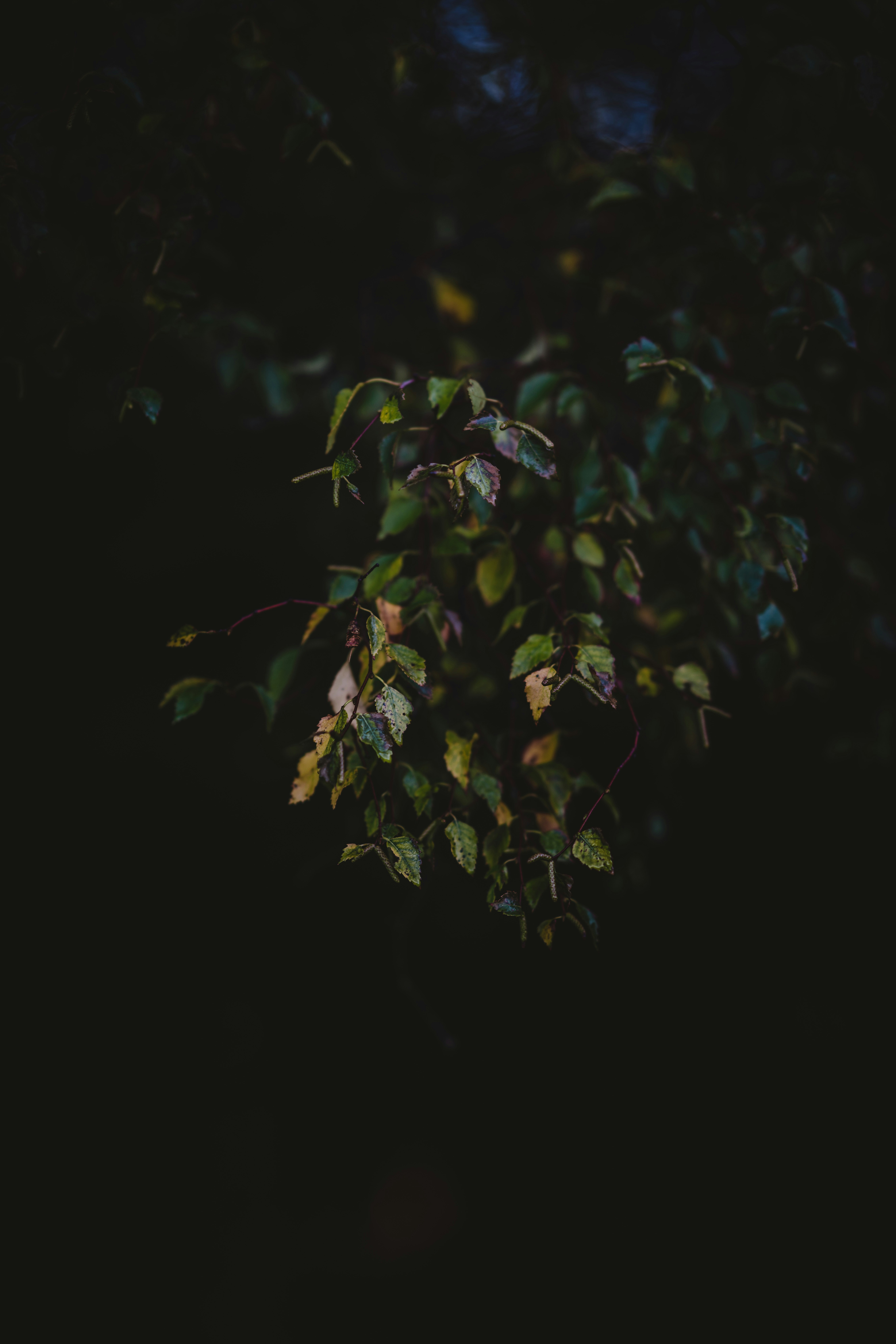 Photo by anniespratt