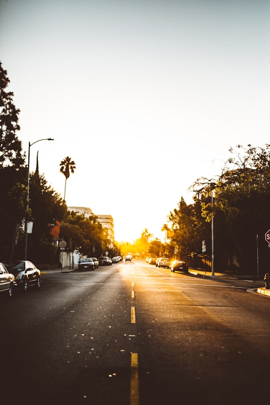 view of road during daytime in West Hollywood United States