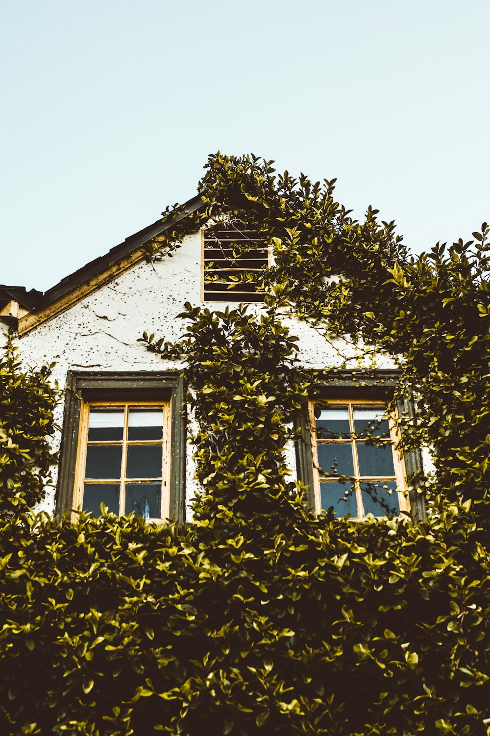 view of plant covered house