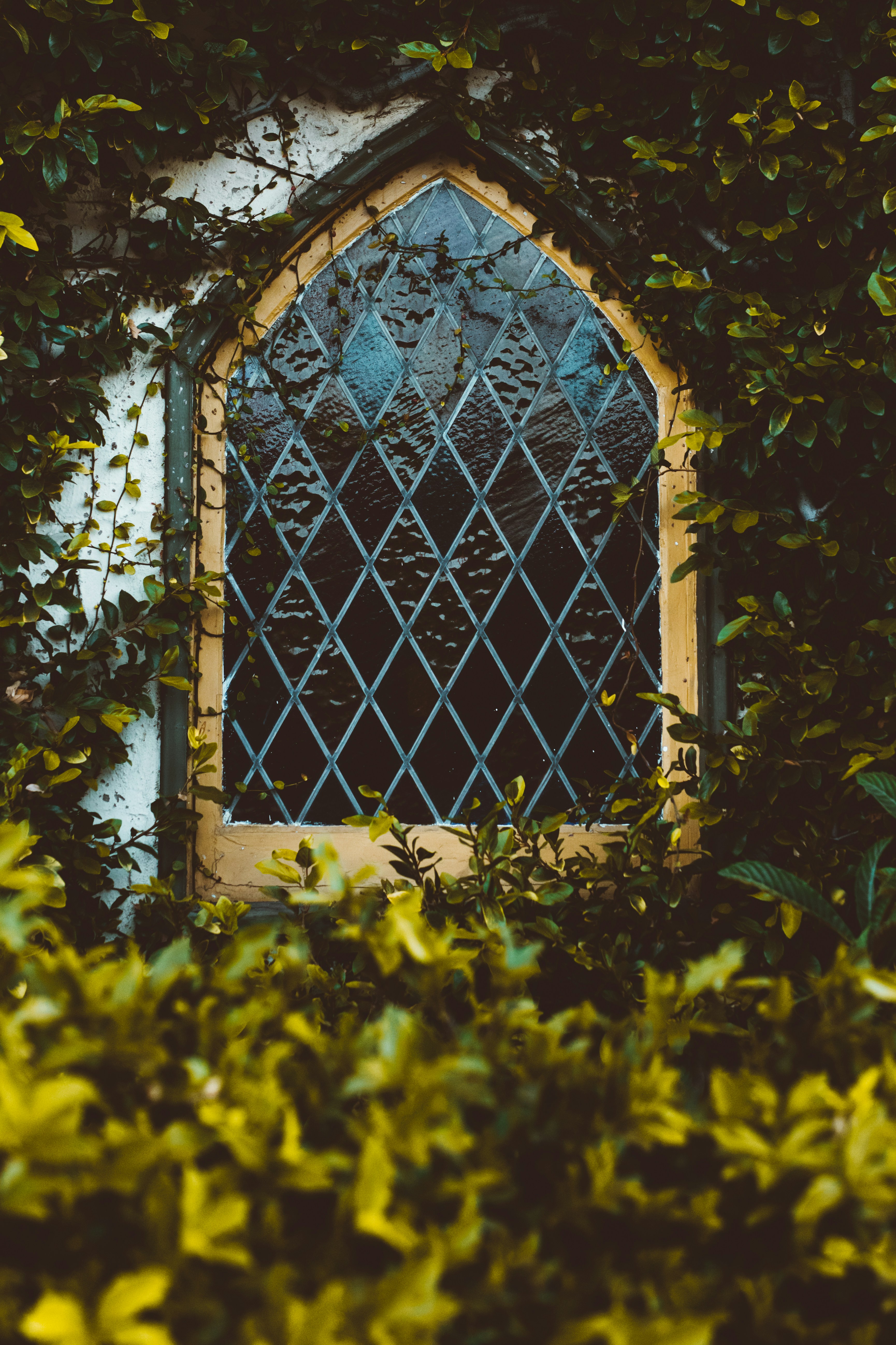 Photo by nate_dumlao