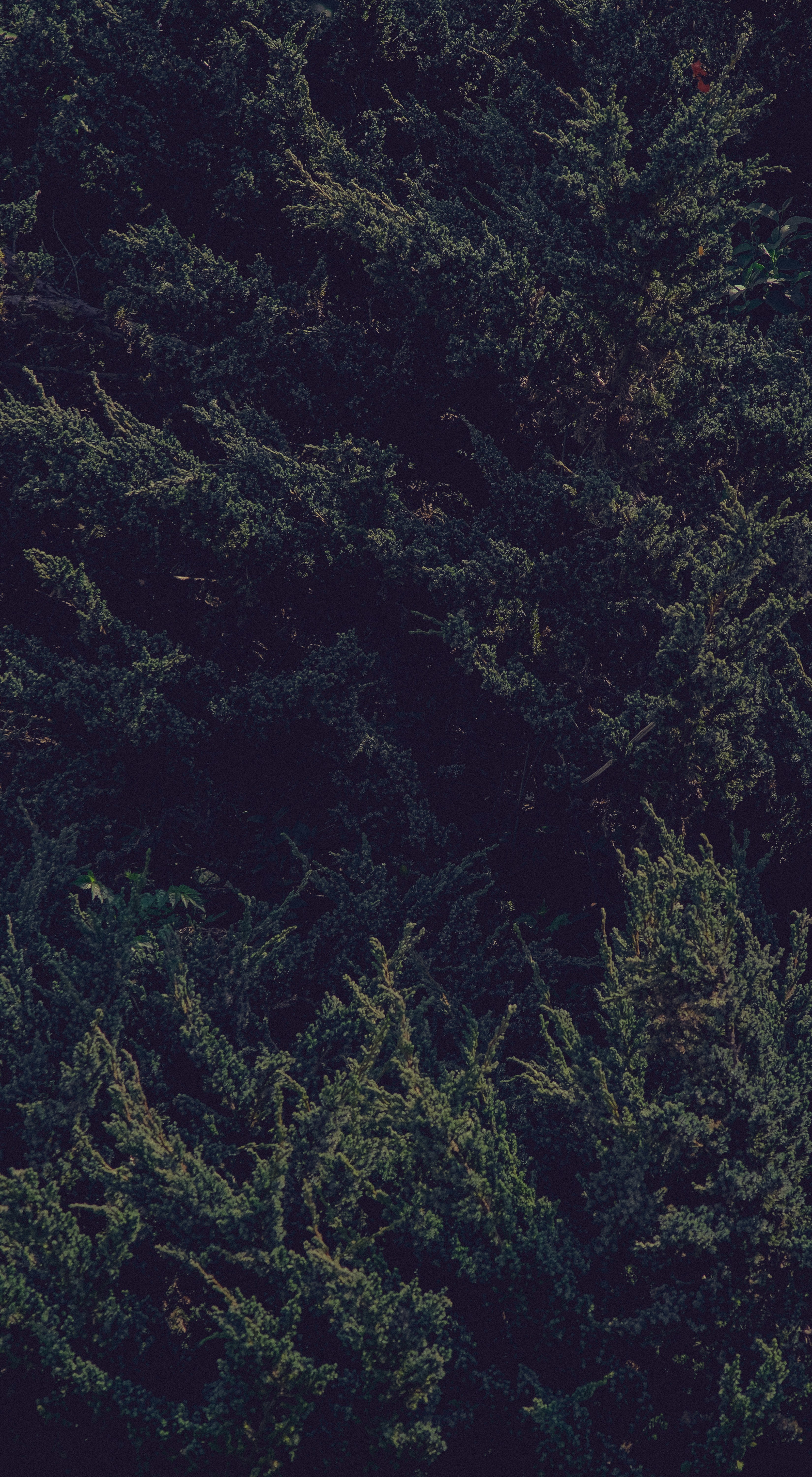 Photo by joseignaciopompe